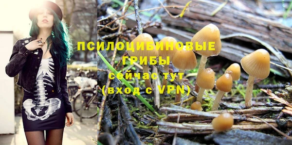 индика Навашино