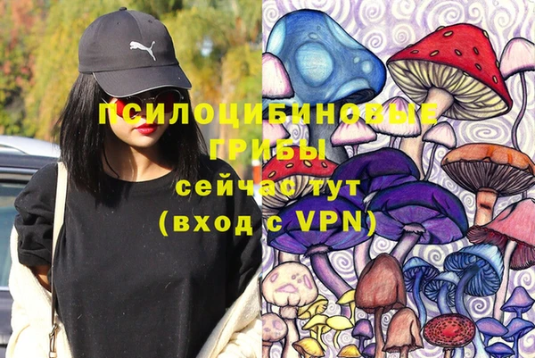 таблы Надым