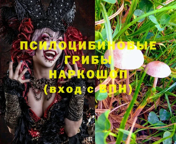 таблы Надым