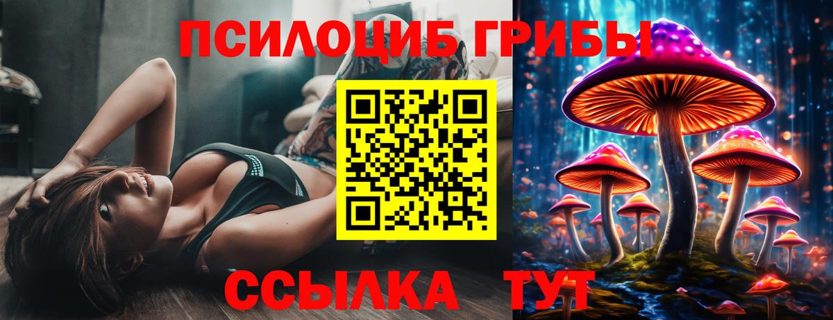 Галлюциногенные грибы Cubensis  Вход с VPN  Галлюциногенные грибы Psilocybine cubensis  Стерлитамак 