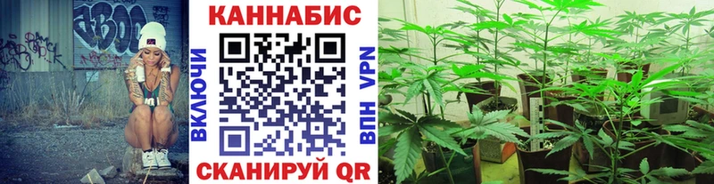 Конопля план  Стерлитамак 